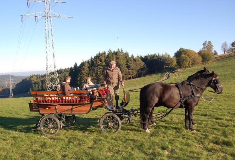 酒店 Westfalenhof Garni