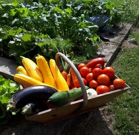 Masbareau, Demeure De Charme, B&b