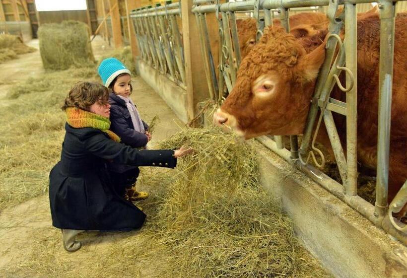 Masbareau, Demeure De Charme, B&b