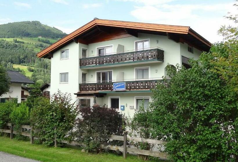 پانسیون Appartements Gassner
