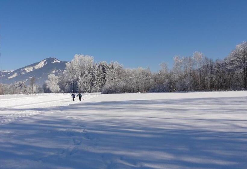 پانسیون Appartements Gassner