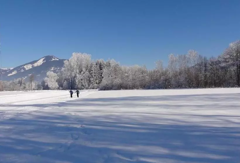 ペンション Appartements Gassner