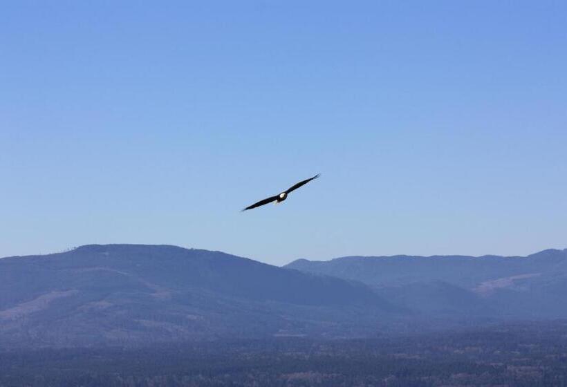 پانسیون Eaglenest Manor Cowichan