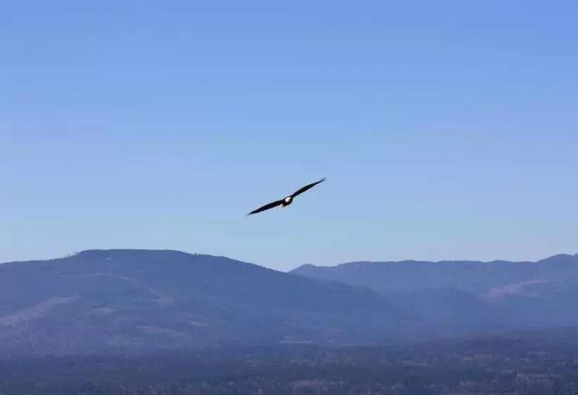 Majatalo Eaglenest Manor Cowichan