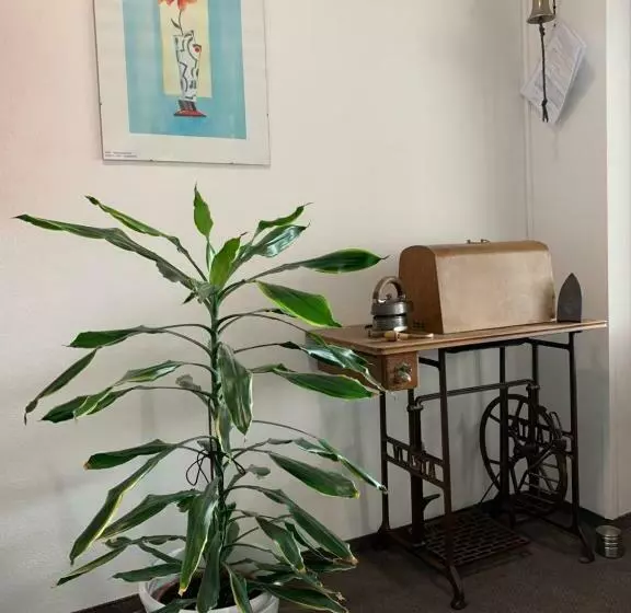 Majatalo Penzion Na Solné Stezce