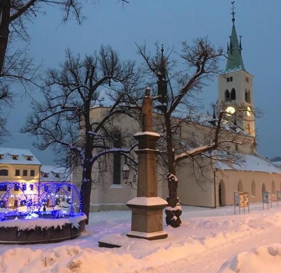 Пансион Penzion Na Solné Stezce