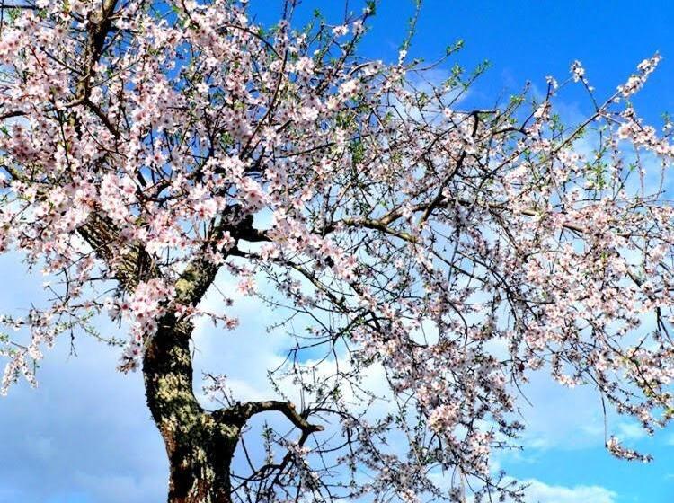 Пансион Residencial Ponto Certo