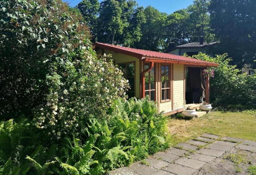 پانسیون Villa Irbe