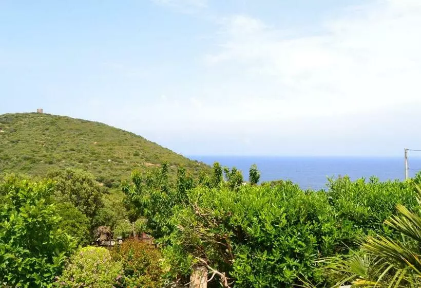 ベッドアンドブレックファースト Casa Di Babbo