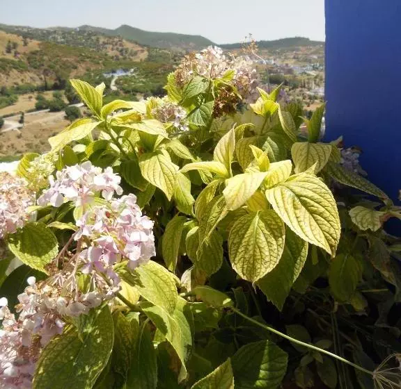 Hotelli Hôtel Koutoubia