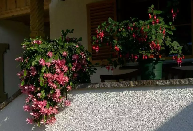 ペンション Haus Unterberg