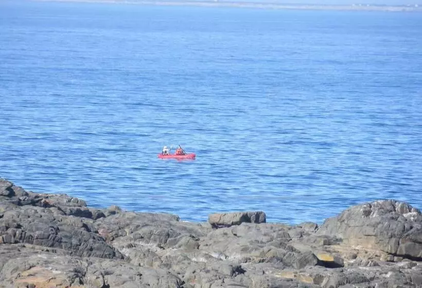 Majatalo Lewens Essens On C