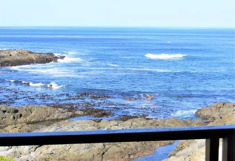 Majatalo Lewens Essens On C