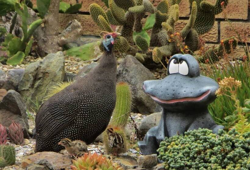 Pension Lewens Essens On C