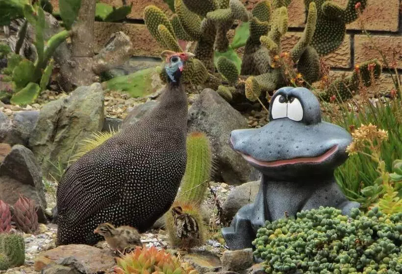 Majatalo Lewens Essens On C