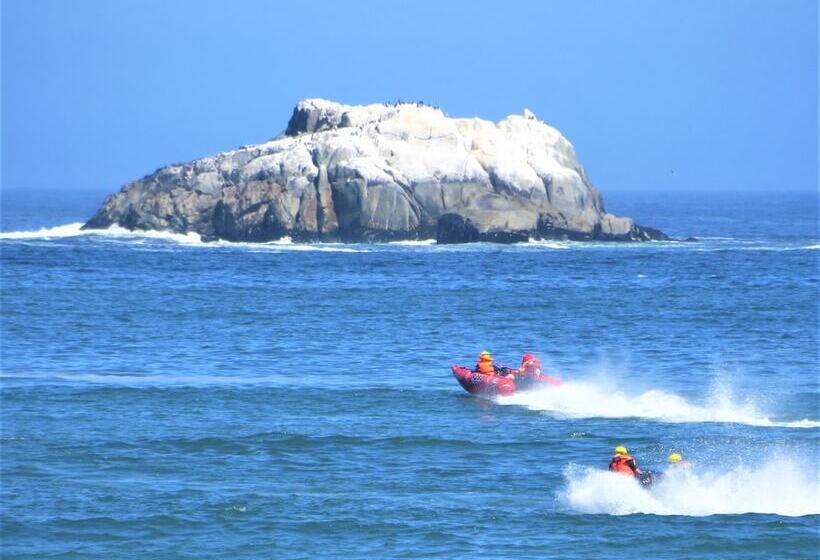 Pension Lewens Essens On C