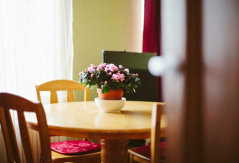 پانسیون Medainie Apartamenti