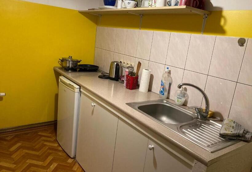 پانسیون Medainie Apartamenti