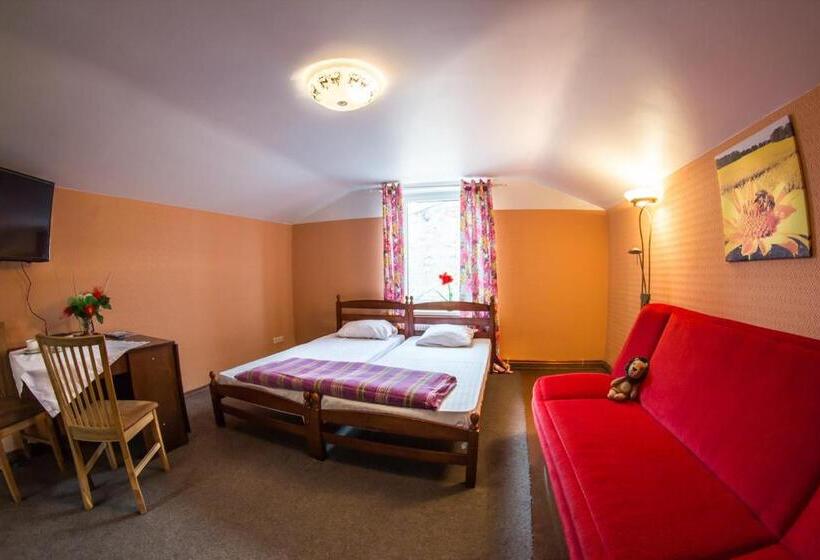 پانسیون Medainie Apartamenti