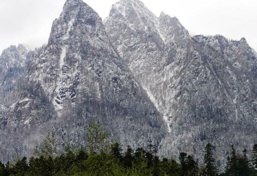 Pensão Vila Nik Busteni