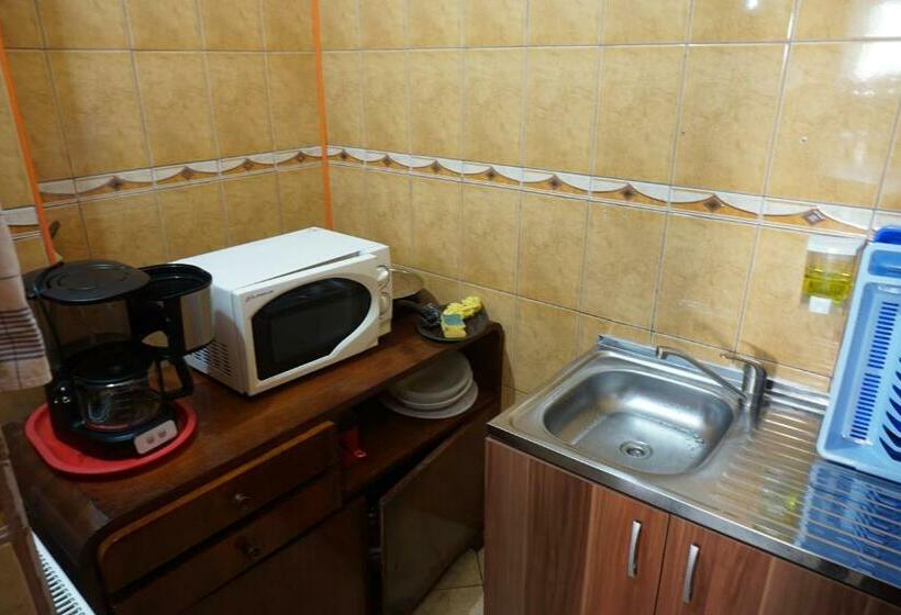 Pensão Vila Nik Busteni