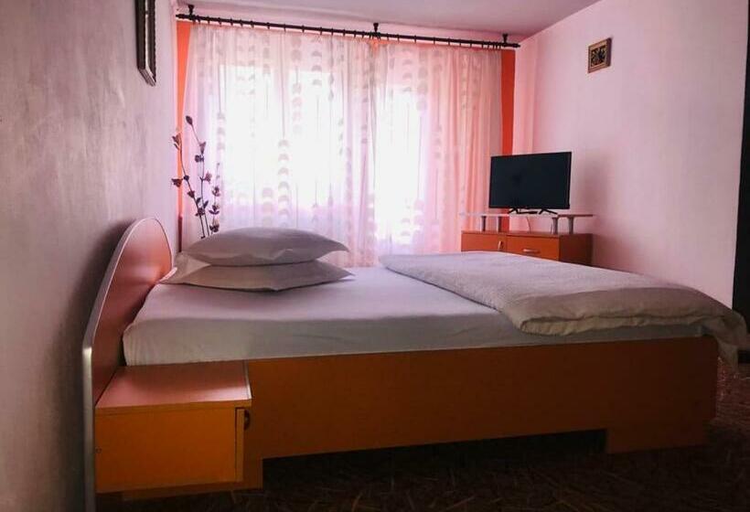 Pensão Vila Nik Busteni