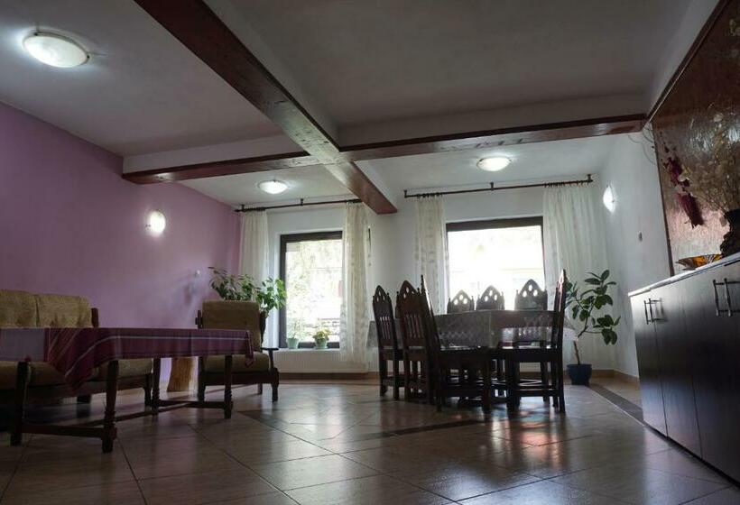 Pensão Vila Nik Busteni