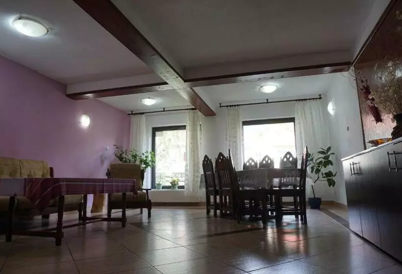 ペンション Vila Nik Busteni