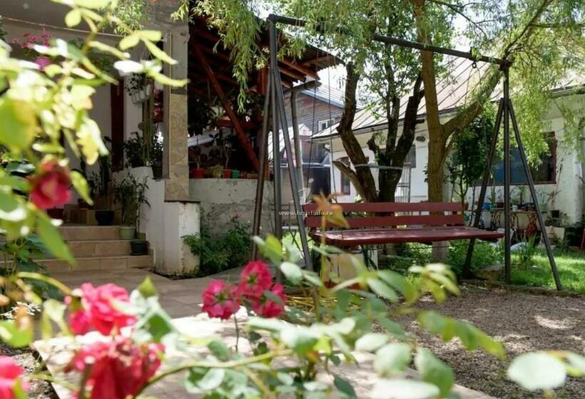 Pensão Vila Nik Busteni