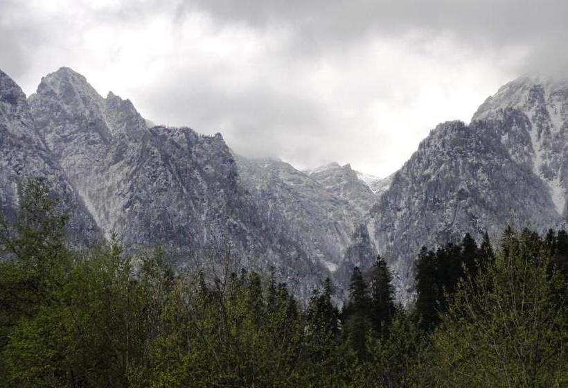 Pensão Vila Nik Busteni