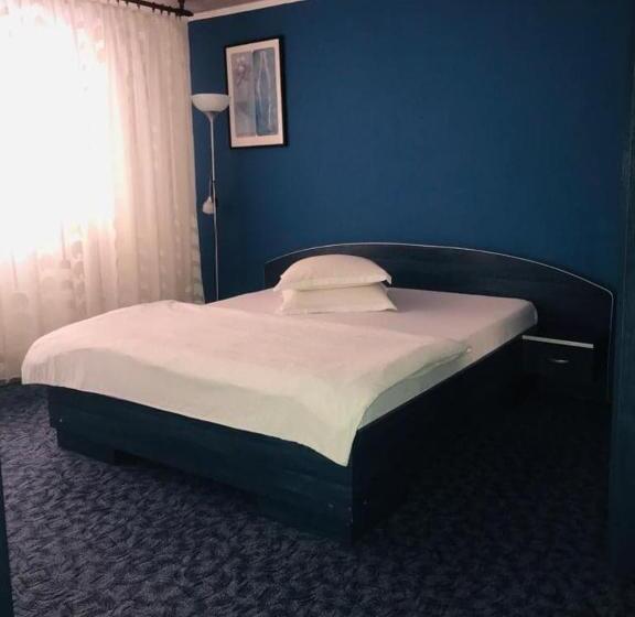 Pensão Vila Nik Busteni