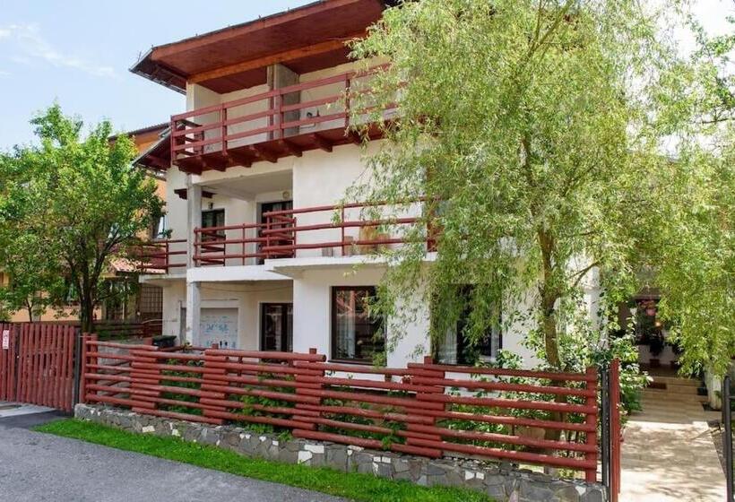 Pensão Vila Nik Busteni