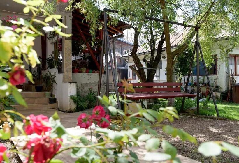 Pensão Vila Nik Busteni