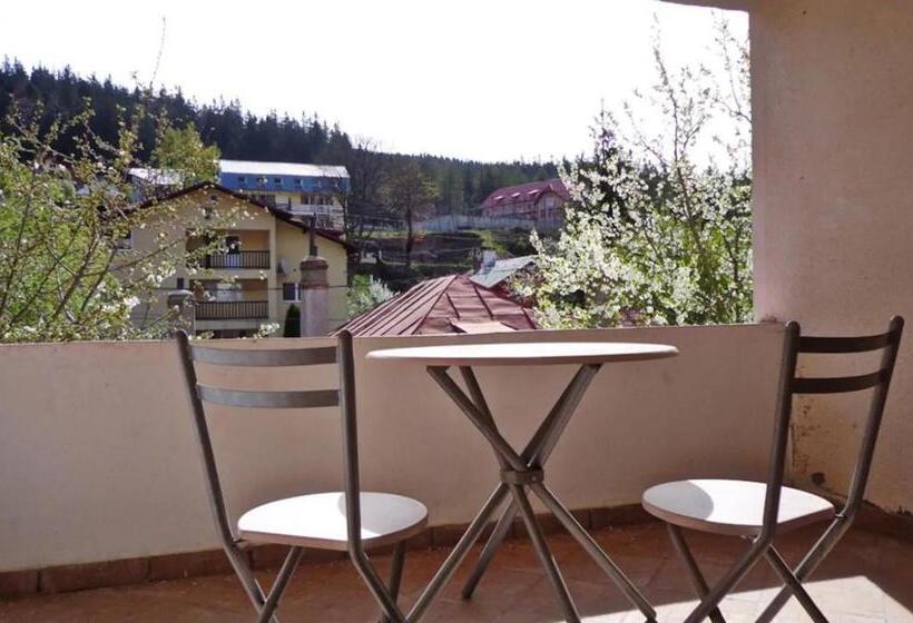 Pensão Vila Nik Busteni