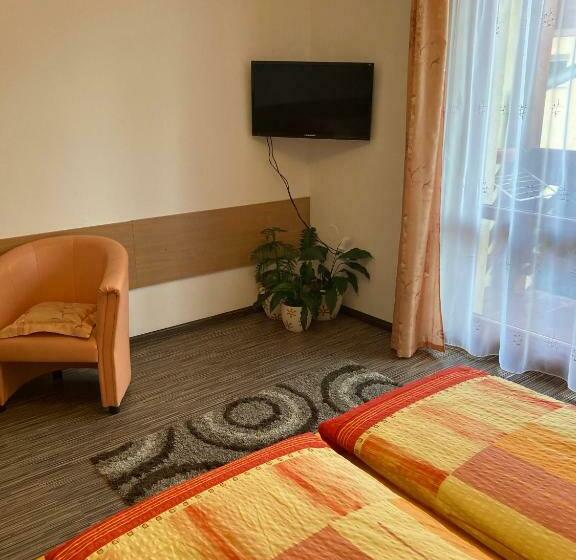 ペンション Villa Elena