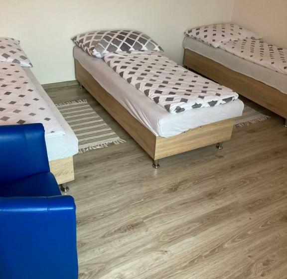 ペンション Villa Elena