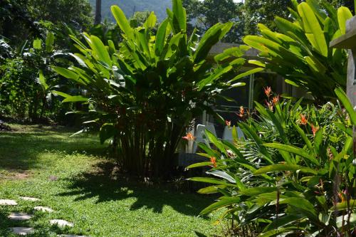 Lomakeskus Lazy Republique