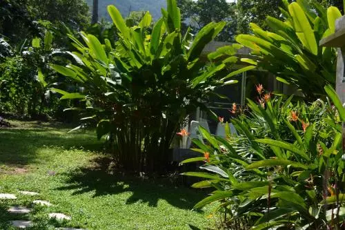 Lomakeskus Lazy Republique