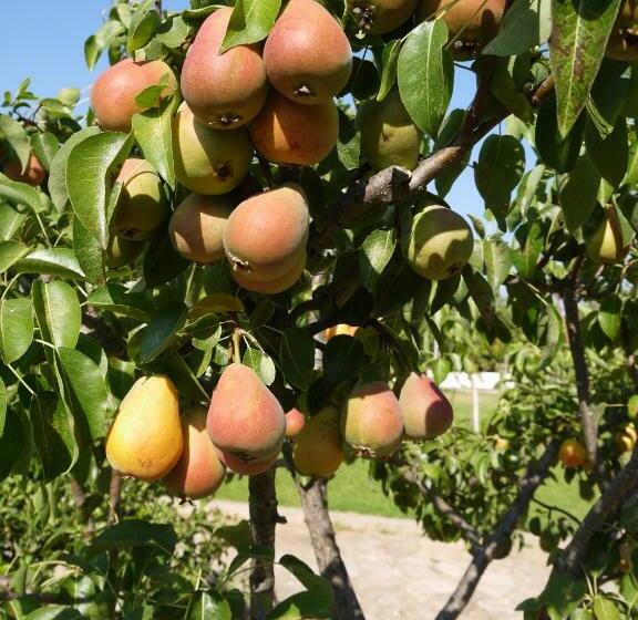 Bed and Breakfast Casal Da Eira