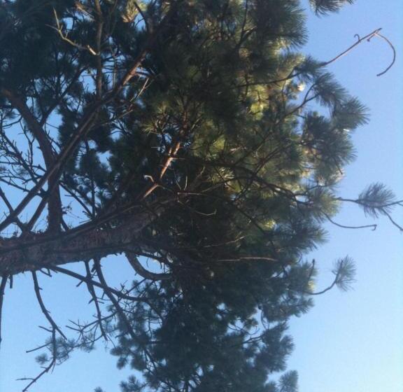 住宿加早餐  Greenfield Chambres D Hôtes