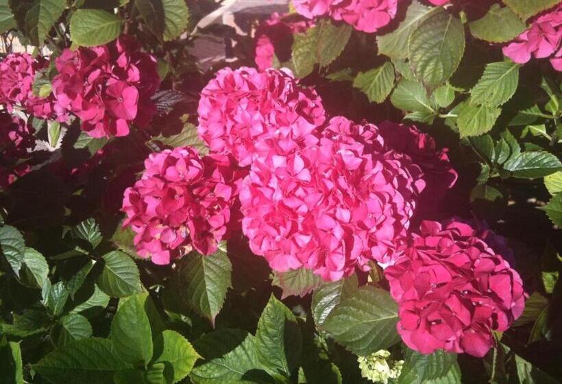 住宿加早餐  Greenfield Chambres D Hôtes