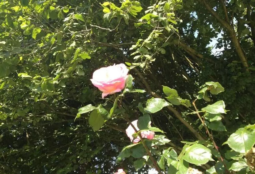 Aamiaismajoitus (B&B) Greenfield Chambres D Hôtes