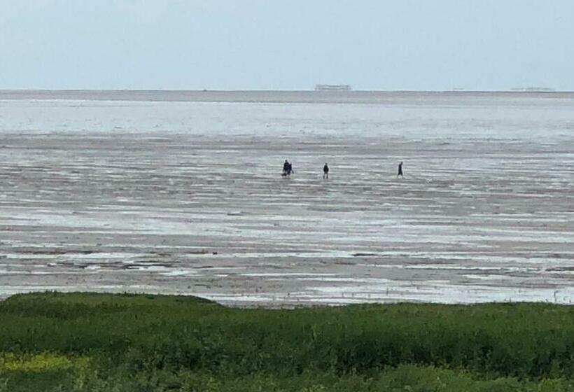 مبيت وإفطار Het Huis Van De Wadden