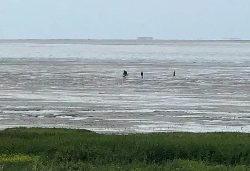 Aamiaismajoitus (B&B) Het Huis Van De Wadden