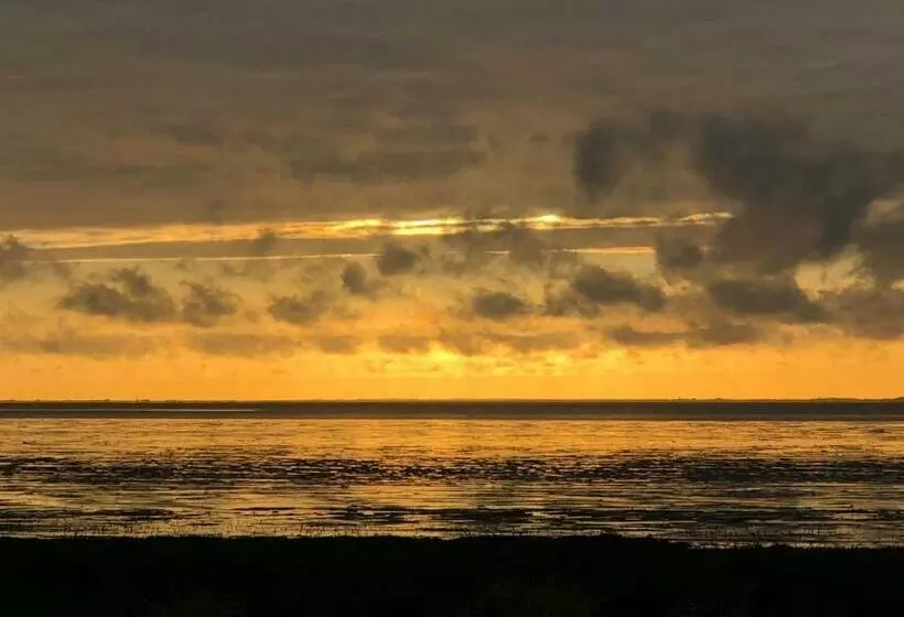 Aamiaismajoitus (B&B) Het Huis Van De Wadden
