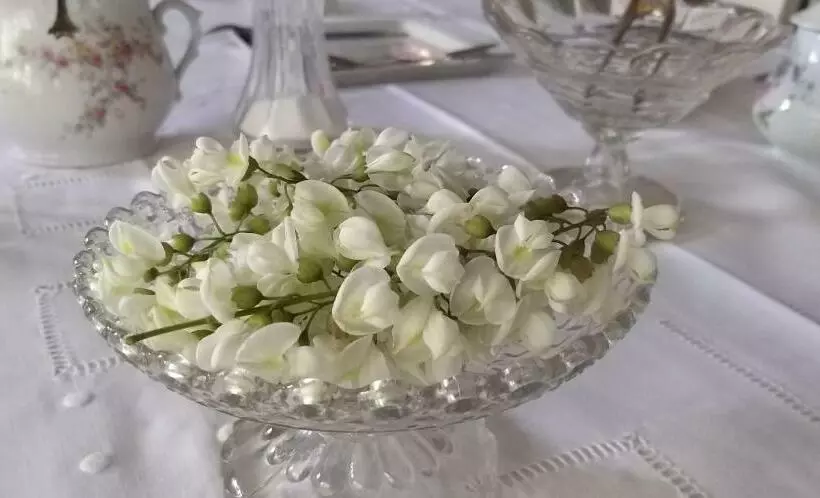 Aamiaismajoitus (B&B) Le Clos De La Chesneraie