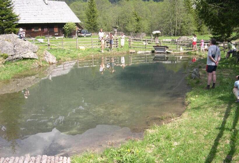 Отель Dorfergut