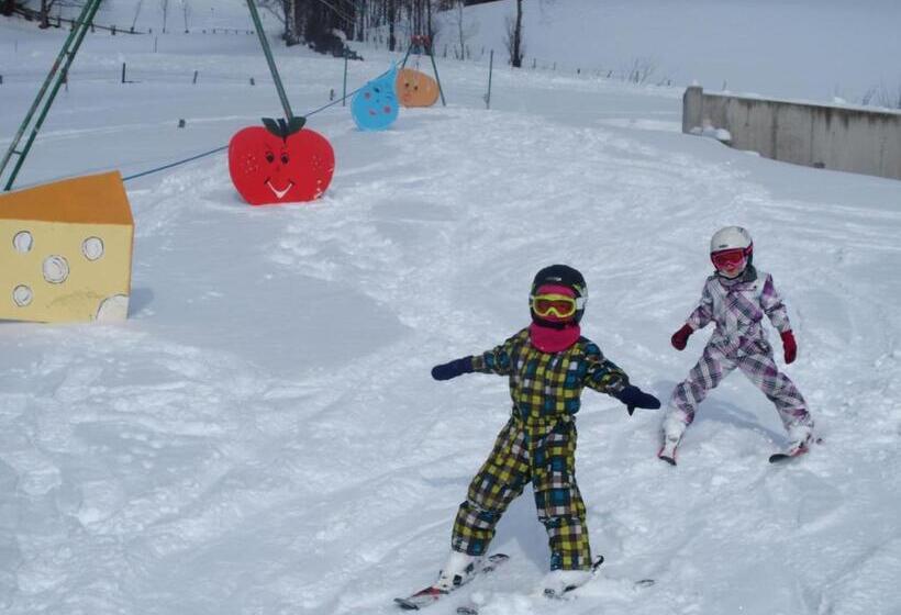 Отель Dorfergut