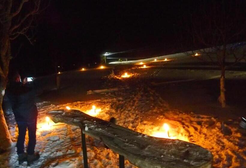 Отель Dorfergut