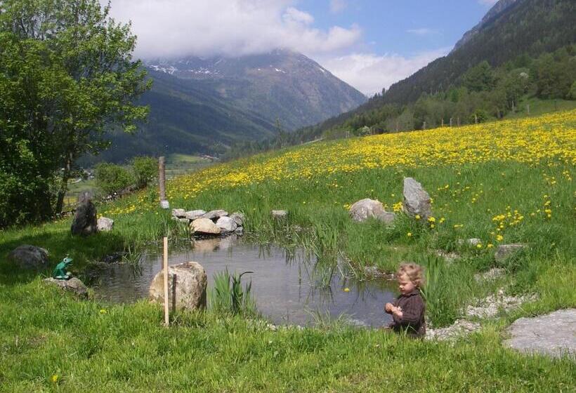 Отель Dorfergut